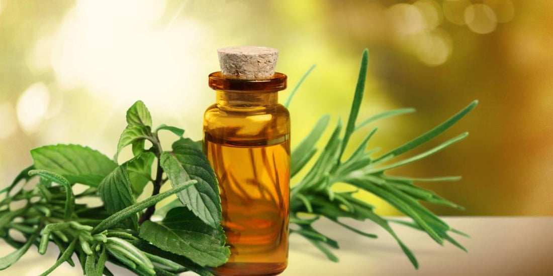 Transform Your Skin with Tea Tree Oil: Discover the Benefits and Uses