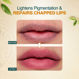 Revive & Protect: Rose Repair + Beetroot Shield